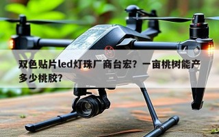 双色贴片led灯珠厂商台宏？一亩桃树能产多少桃胶？