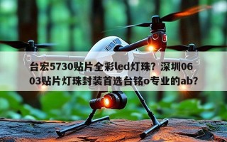 台宏5730贴片全彩led灯珠？深圳0603贴片灯珠封装首选台铭o专业的ab？