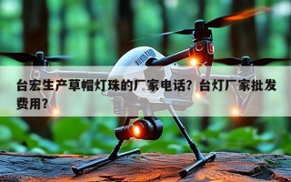 台宏生产草帽灯珠的厂家电话？台灯厂家批发费用？