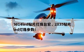 3014led贴片灯珠台宏，2835贴片led灯珠参数！