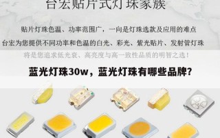 蓝光灯珠30w，蓝光灯珠有哪些品牌？