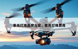 紫光灯珠品牌台宏，紫光灯珠费用