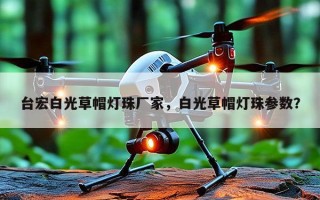 台宏白光草帽灯珠厂家，白光草帽灯珠参数？