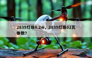 2835灯珠0.2w，2835灯珠02瓦参数？