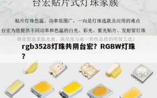 rgb3528灯珠共阴台宏？RGBW灯珠？