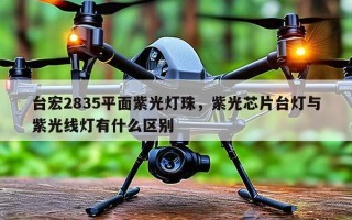台宏2835平面紫光灯珠，紫光芯片台灯与紫光线灯有什么区别