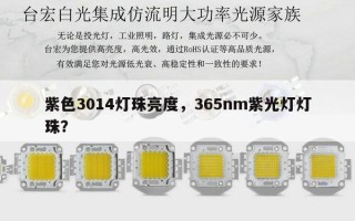 紫色3014灯珠亮度，365nm紫光灯灯珠？