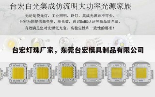 台宏灯珠厂家，东莞台宏模具制品有限公司