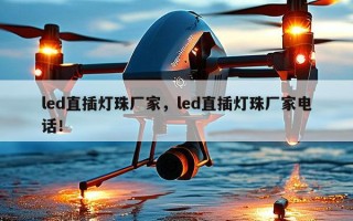 led直插灯珠厂家，led直插灯珠厂家电话！
