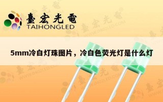 5mm冷白灯珠图片，冷白色荧光灯是什么灯