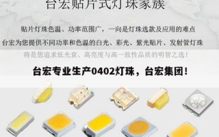 台宏专业生产0402灯珠，台宏集团！