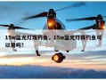 15w蓝光灯珠钓鱼，15w蓝光灯珠钓鱼可以用吗？