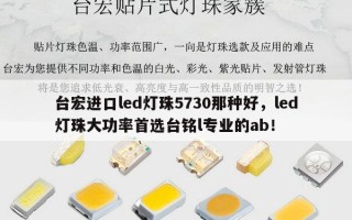 台宏进口led灯珠5730那种好，led灯珠大功率首选台铭l专业的ab！