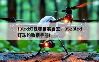 f3led灯珠哪里买台宏，3528led灯珠的数据手册！