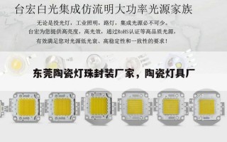 东莞陶瓷灯珠封装厂家，陶瓷灯具厂