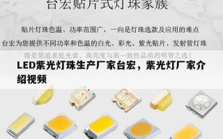 LED紫光灯珠生产厂家台宏，紫光灯厂家介绍视频