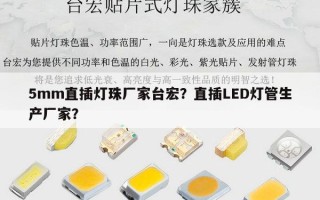 5mm直插灯珠厂家台宏？直插LED灯管生产厂家？