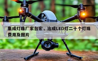 集成灯珠厂家台宏，治成LED灯二十个灯珠费用及图片