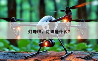灯珠f5，灯珠是什么？
