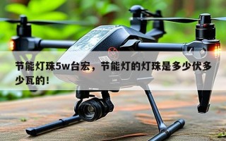 节能灯珠5w台宏，节能灯的灯珠是多少伏多少瓦的！