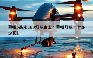 草帽5毫米LED灯珠台宏？草帽灯珠一个多少瓦？