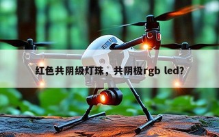 红色共阴级灯珠，共阴极rgb led？