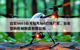 台宏0603白光贴片led灯珠厂家，台宏塑料机械制造有限公司