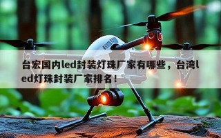 台宏国内led封装灯珠厂家有哪些，台湾led灯珠封装厂家排名！