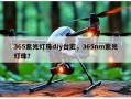 365紫光灯珠diy台宏，365nm紫光灯珠？