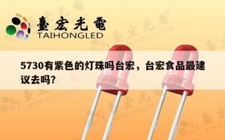 5730有紫色的灯珠吗台宏，台宏食品最建议去吗？