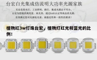 植物红3w灯珠台宏，植物灯红光和蓝光的比例！