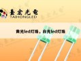 黄光led灯珠，白光led灯珠