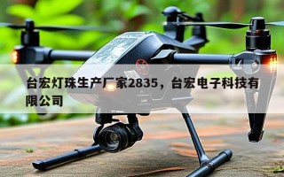 台宏灯珠生产厂家2835，台宏电子科技有限公司