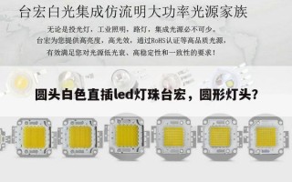 圆头白色直插led灯珠台宏，圆形灯头？