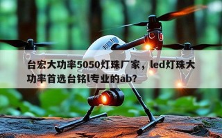 台宏大功率5050灯珠厂家，led灯珠大功率首选台铭l专业的ab？