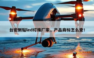 台宏侧贴led灯珠厂家，产品商标怎么查！