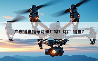 广东键盘指示灯珠厂家？灯厂 键盘？