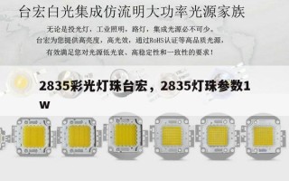 2835彩光灯珠台宏，2835灯珠参数1w