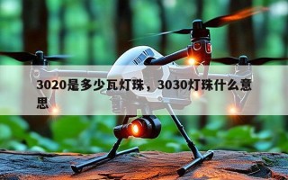 3020是多少瓦灯珠，3030灯珠什么意思