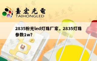 2835粉光led灯珠厂家，2835灯珠参数1w？