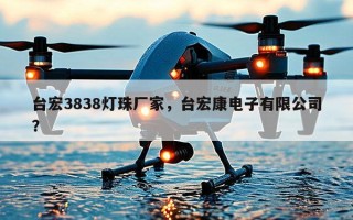 台宏3838灯珠厂家，台宏康电子有限公司？
