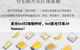 紫光led灯珠哪种好，led紫光灯珠395nmuv！