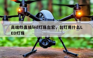 高端f5直插led灯珠台宏，台灯用什么LED灯珠