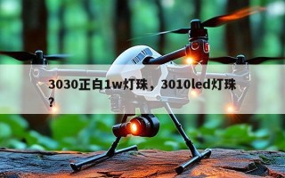 3030正白1w灯珠，3010led灯珠？