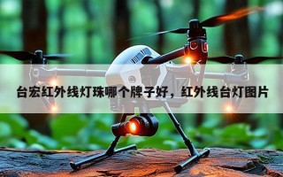 台宏红外线灯珠哪个牌子好，红外线台灯图片