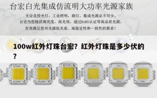 100w红外灯珠台宏？红外灯珠是多少伏的？