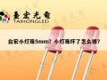 台宏小灯珠5mm？小灯珠坏了怎么修？