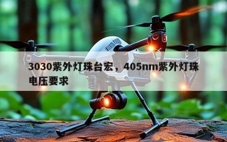 3030紫外灯珠台宏，405nm紫外灯珠电压要求