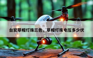 台宏草帽灯珠三色，草帽灯珠电压多少伏