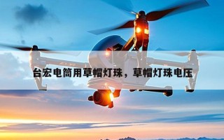 台宏电筒用草帽灯珠，草帽灯珠电压